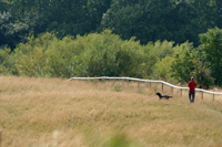 hundrastn_200