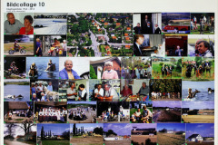 collage-10