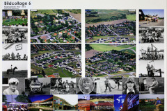 collage-6