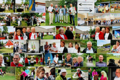 collage1_2013
