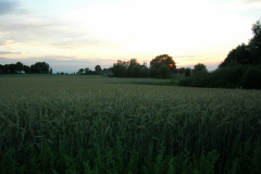 DSCN1007