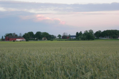 DSCN1008