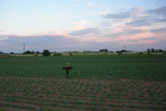 DSCN1009