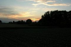 DSCN1010