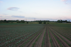 DSCN1014