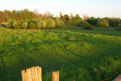 DSCN2530