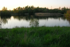 DSCN2534