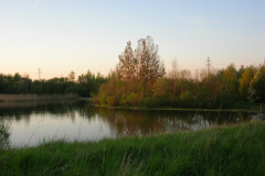 DSCN2535