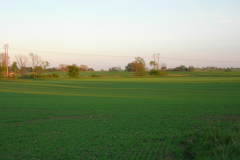 DSCN2537
