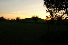 DSCN2542