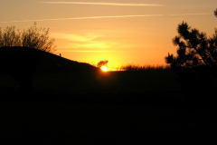 DSCN2545