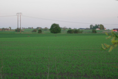 DSCN2550