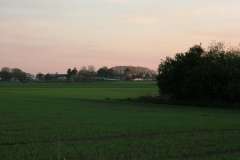 DSCN2551