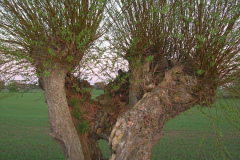 DSCN2553