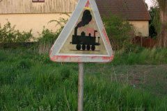 DSCN2554