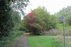 AndersOrkansstig4_1024