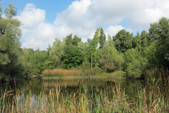 groddamm1_1024