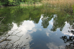 groddamm2_1024