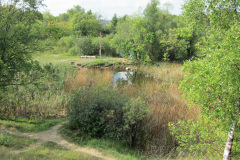 groddamm3_1024