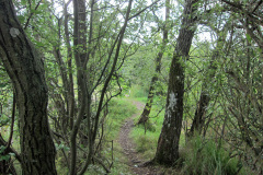 groddamm5_1024
