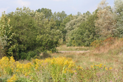kaglingranna6_1024
