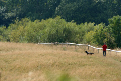 manohund_1024