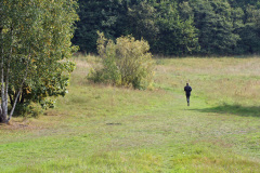 motionar2_1024
