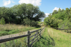 rannan1_1024