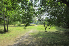rannan2_1024