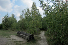 vid_groddamm1_1024
