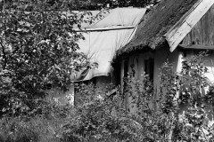 Palssonhuset-1-aug-1985-startlaget-gardssida