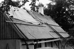 Palssonhuset-foremal-taklaggning-norrsida-sommar-1986